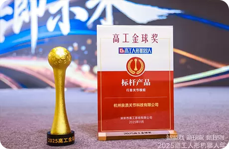 Fabricante de M&oacute;dulos de Juntas para Rob&ocirc;s Humanoides de Hangzhou: Uma An&aacute;lise Abrangente da Resist&ecirc;ncia das Juntas Liangzhi!